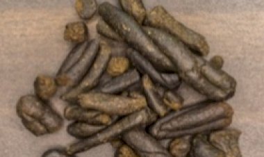 नाहन: पुलिस को देख नशा तस्कर ने लगा दी छलांग, धरे जाने पर 260 ग्राम चरस बरामद की ..