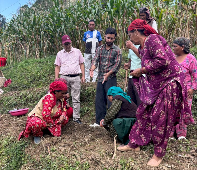 लहसुन वितरण एवं प्रदर्शन कार्यक्रम आयोजित, जाईका परियोजना चरण–II के अंतर्गत ब्लॉक परियोजना प्रबंधन इकाई गोहर की पहल