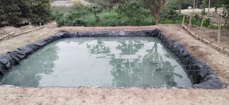 मंडी के युवाओं को मत्स्य पालन से मिला नया रोजगार मार्ग मुख्यमंत्री कार्प मत्स्य पालन योजना के तहत 16  युवाओं ने हासिल की सफलता, दो नए लाभार्थियों को मिली स्वीकृति