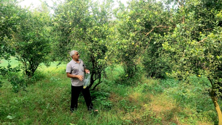 हिम उन्नति योजना के सफल क्रियान्वयन का उत्कृष्ट मॉडल बनकर उभरा ऊना जिला कृषि नवाचार और प्राकृतिक खेती की दिशा में निर्णायक पहलकदमी