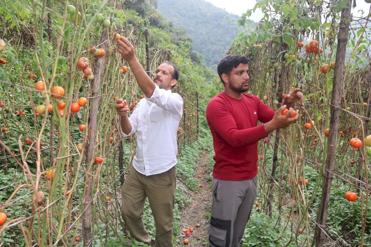 मुख्यमंत्री सुख-आश्रय योजना: सम्मानजनक जीवन व आत्मनिर्भरता की ओर एक कदम