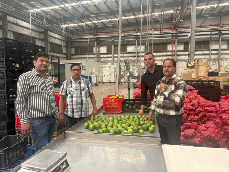 एचपी शिव परियोजना के अंतर्गत तैयार मौसम्बी की पहली खेप धर्मपुर क्लस्टर से पहुंची राजपुरा रिलायंस स्टोर, बागवानों को फसल का मिल रहा बेहतर मूल्य