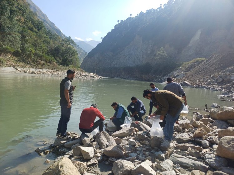 व्यास नदी  में छोड़े गए 5 हजार महाशीर मछली बीज.... रिवर रैंचिंग कार्यक्रम के तहत मत्स्य विभाग मंडी की पहल5 हजार महाशीर मछली बीज.... रिवर रैंचिंग कार्यक्रम के तहत मत्स्य विभाग मंडी की पहल