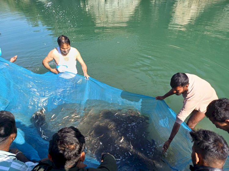 नदीय मत्स्य पालन कार्यक्रम के तीसरे चरण में ब्यास व सहायक नदियों में डाले 2.20 लाख मछली बीज- नीतू सिंह