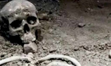 नाहन: नरकंकाल की अभी नहीं हुईं शिनाख्त..पहचान के लिए कंकाल मेडिकल कॉलेज में रखा...