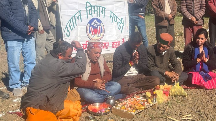 बांधी क्लस्टर में एचपी शिवा परियोजना के तहत रोपित किए जाएंगे जापानी फल के सात हजार पौधे, क्लस्टर का भूमि पूजन कर विधिवत शुभारंभ