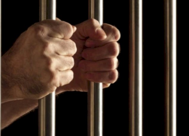 नाहन: हिरासत लिया पूर्व मुजरिम 5 दिन के पुलिस रिमांड पर,माजरा क्षेत्र में लाखों के जेवरात पर किया था हाथ साफ...