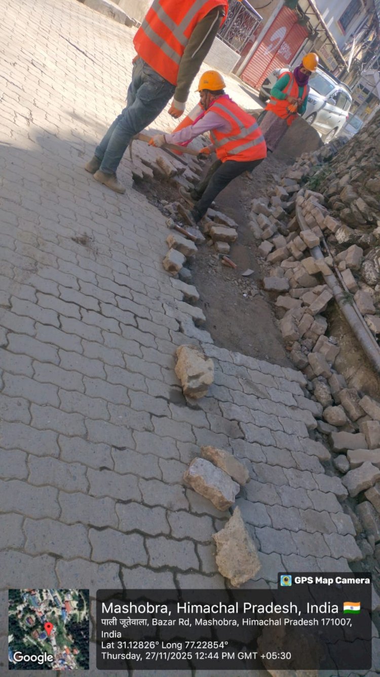 संजौली–ढली में खुदाई के बाद रेस्टोरेशन कार्य तेज़, SUEZ ने ठेकेदारों को दी जिम्मेदारी