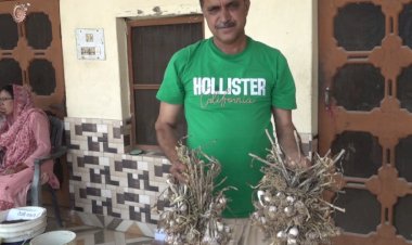 प्राकृतिक खेती पर अंतर्राष्ट्रीय सम्मेलन में भी गूंजा गांव हरनेड़ का नाम