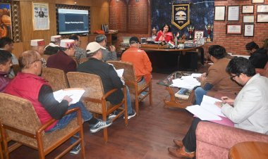 आवारा कुत्तों की समस्या पर उपायुक्त कुल्लू की बैठक और निर्देश