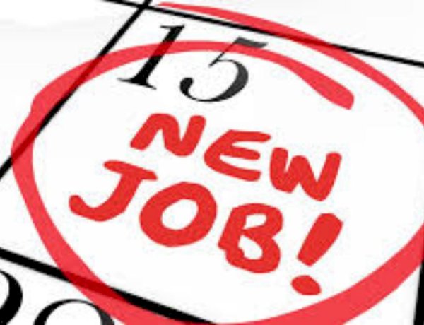 सिरमौर  : कमरऊ, शिलाई, राजगढ़ व सराहां में आयोजित होंगे कैम्पस  इंटरव्यु