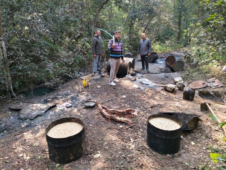 नाहन: खारा के जंगलों में 2600 लीटर कच्ची शराब , 4 भट्टियां नष्ट की माजरा पुलिस ने....