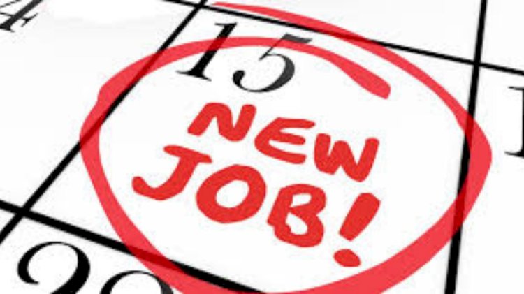 संयुक्त अरब अमीरात में डिलीवरी राइडर्स का साक्षात्कार 16 दिसम्बर को: क्षेत्रीय रोजगार अधिकारी