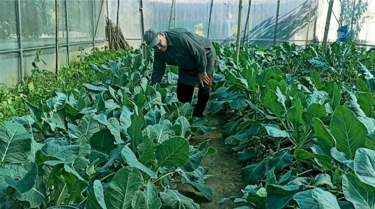 प्राकृतिक खेती ने बदल दी अमर सिंह और उनके परिवार की जिंदगी