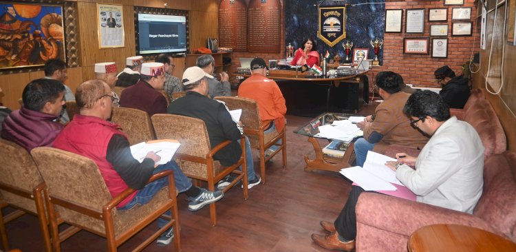 आवारा कुत्तों की समस्या पर उपायुक्त कुल्लू की बैठक और निर्देश