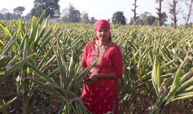 नाहन : प्रदेश के किसानों की आर्थिकी को सुदृढ़ कर रही प्राकृतिक खेती खुशहाल किसान योजना