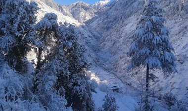 तीर्थन टॉप और जलोड़ी दर्रा समेत बंजार क्षेत्र की चोटियों पर ताजा हिमपात।