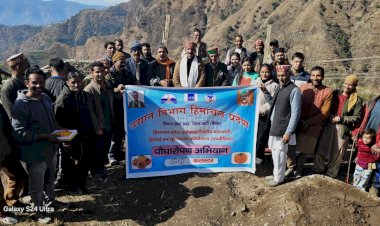 एचपी-शिवा परियोजना के तहत बांधी क्लस्टर में जापानी फल पौधारोपण अभियान शुरू