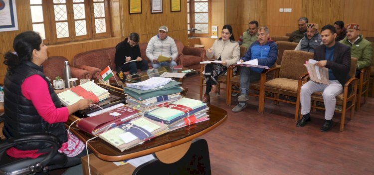 सड़क दुर्घटनाओं पर लगाम कसने को जिला सड़क सुरक्षा समिति की बैठक आयोजित