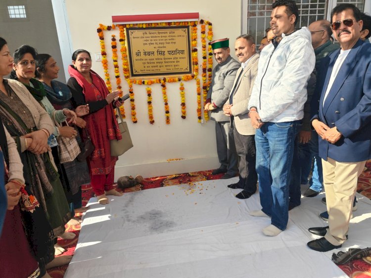 शाहपुर में जाईका के तहत 6.75 करोड़ रुपये व्यय : केवल सिंह पठानिया