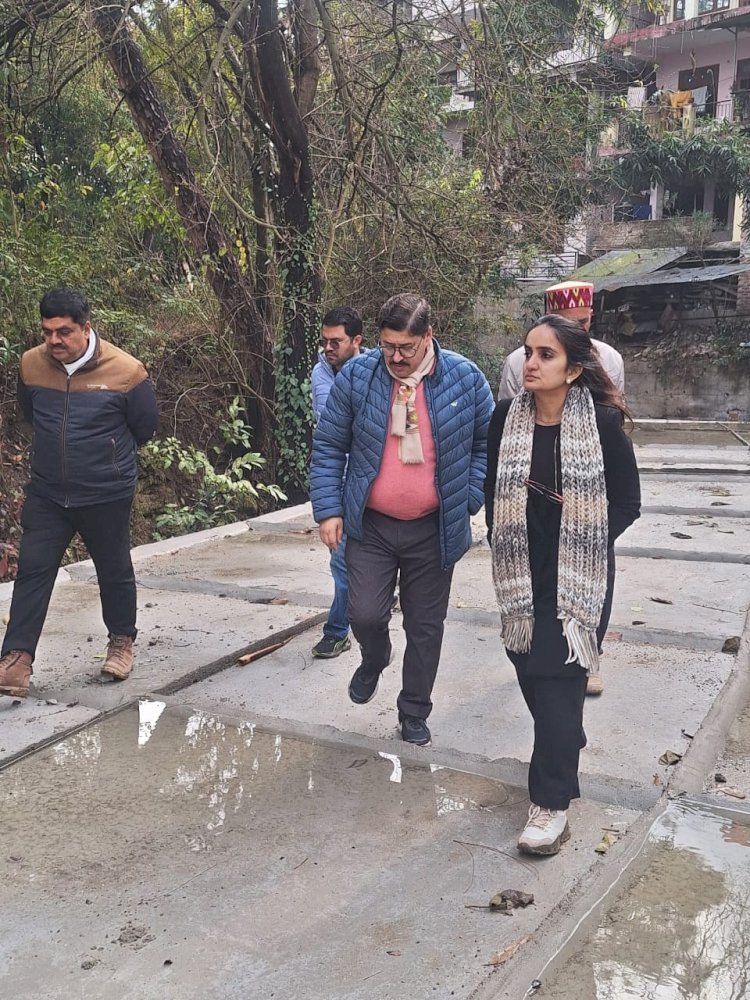 डीसी गंधर्वा राठौड़ ने किया नगर निगम के कार्यों का निरीक्षण