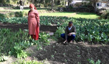 सफलता की कहानीः प्राकृतिक खेती से आत्मनिर्भरता की मिसाल बने टिक्करी मुशैहरा के अजय कुमार… रंग लाने लगे ‘सुख की सरकार’ के प्रयास….