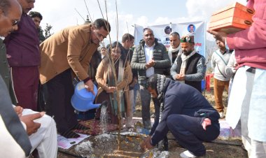 बागवानी हिमाचल की अर्थव्यवस्था का प्रमुख आधार - संजय अवस्थी