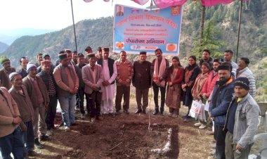 पराशर घाटी के बम्बोला क्लस्टर में 13 हेक्टेयर में रोपित होंगे जापानी फल के 8500 पौधे