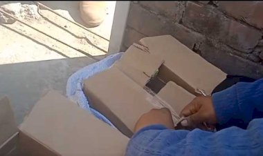 नाहन: कुंदन के बाग़ में पुलिस ने छापा मारा, रिहायशी मकान से 2 पेटी अवैध शराब बरामद की.. आरोपी धरा..