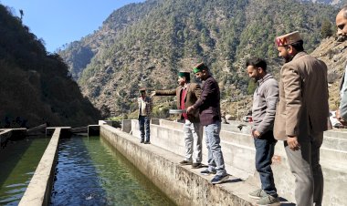 शाहपुर की बोह वैली में बन रहा प्रदेश का पहला ट्राउट हब,  पर्यटन के साथ स्वरोजगार का नया अध्याय