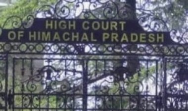 नाहन: हाई कोर्ट ने शामलात भूमि के मामले में सरकार से 2 अप्रैल तक जवाब तलब किया..