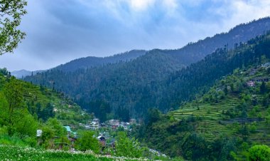 जिभी वैली टूरिज्म डेवलपमेंट एसोसिएशन में 7 मार्च को होंगे चुनाव।