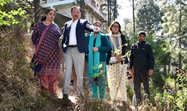 उद्योग मंत्री ने नुकसान दायक वृक्षों को हटाने के लिए प्रस्तावित स्थलों का किया निरीक्षण