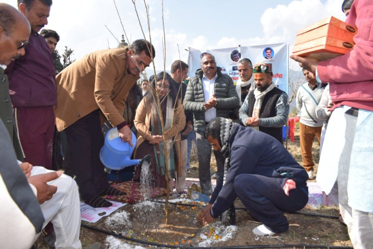 बागवानी हिमाचल की अर्थव्यवस्था का प्रमुख आधार - संजय अवस्थी
