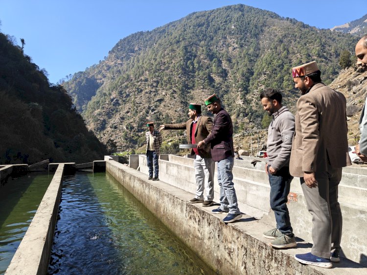 शाहपुर की बोह वैली में बन रहा प्रदेश का पहला ट्राउट हब,  पर्यटन के साथ स्वरोजगार का नया अध्याय