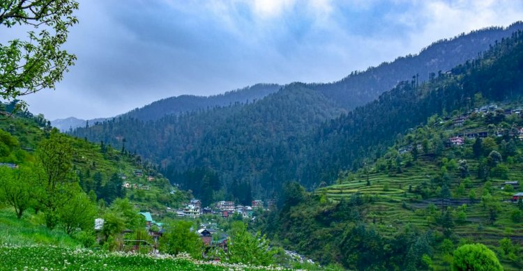 जिभी वैली टूरिज्म डेवलपमेंट एसोसिएशन में 7 मार्च को होंगे चुनाव।