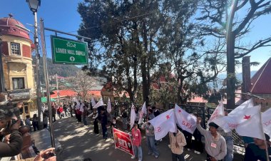 शिमलाः ABVP की नीतियों के खिलाफ SFI दिया धरना,जमकर नारेबाजी की...