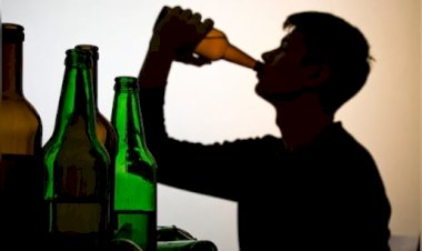 नाहन: 12 बोतल शराब पकड़ी आरोपी के खिलाफ कालाअम्ब में मामला दर्ज...