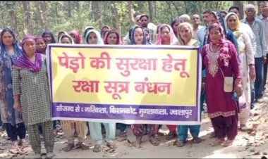 नाहन: पांवटा क्षेत्र में महिला शक्ति ने हुंकार भरी, नही करने देंगे पेडों का कटान बांधे रक्षा सूत्र...