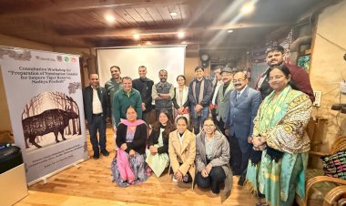 तीर्थन घाटी में एकता की मिसाल, जनसहयोग से तैयार हुआ हामनी पुल।