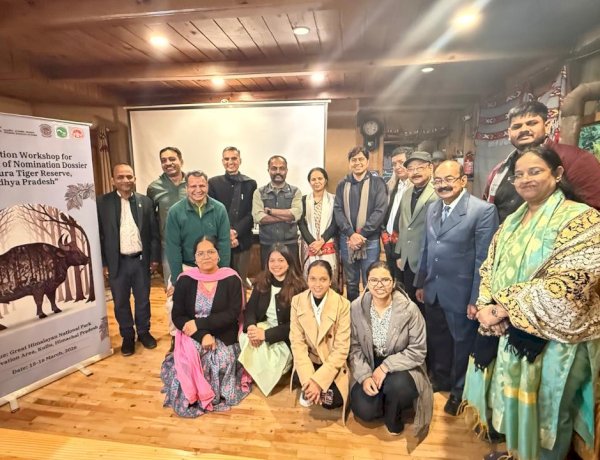 तीर्थन घाटी में एकता की मिसाल, जनसहयोग से तैयार हुआ हामनी पुल।