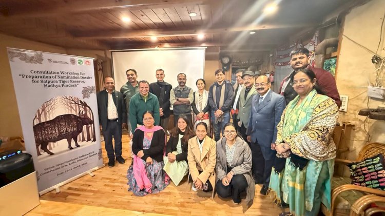 तीर्थन घाटी में एकता की मिसाल, जनसहयोग से तैयार हुआ हामनी पुल।