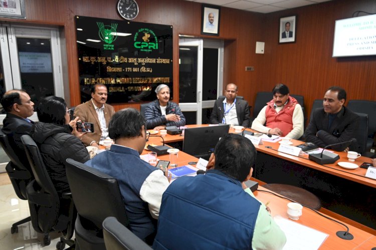 आलू की खेती में एआई के उपयोग से हो रही है सालाना करोड़ों रुपए की बचत