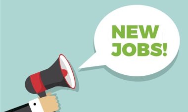 नादौन में 200 पदों के लिए साक्षात्कार 20 को