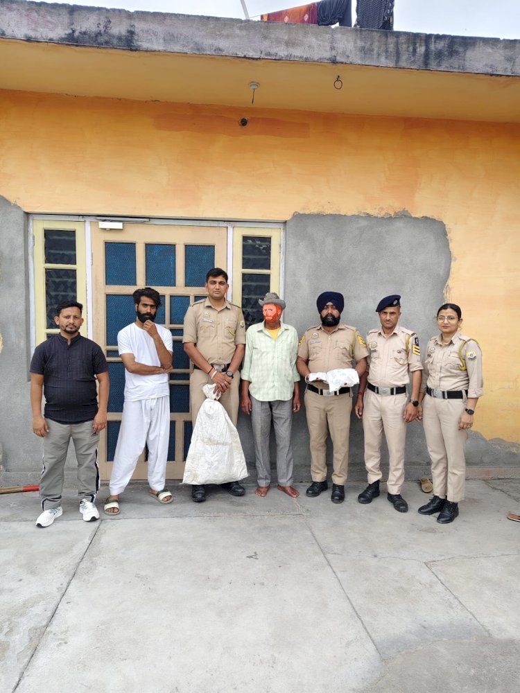 नाहन : 25 पौधे अफीम समेत 1.106 किलो ग्राम चूरा पोस्त पकड़ा, आरोपी हिरासत में..