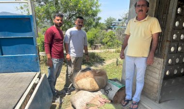 गोविन्द सागर जलाशय में अवैध मत्स्य गतिविधियों पर मत्स्य विभाग का शिकंजा 27 किलोग्राम अंडर साइज जाल जब्त, दो मामले दर्ज