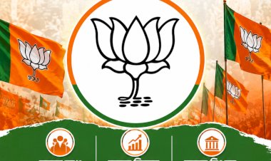 पार्टी विरोधी गतिविधियों पर भाजपा की बड़ी कार्रवाई,सोलन के दो नेताओं को 6 वर्षों के लिए किया निलंबित