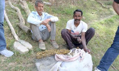 गोविंद सागर एवं कोलडैम जलाशयों में मत्स्य विभाग का विशेष निरीक्षण अभियान