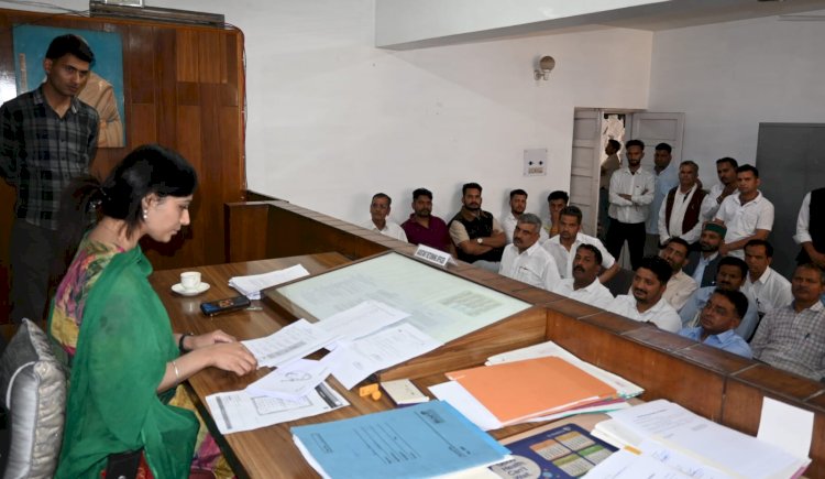 कटौला वार्ड से दो उम्मीदवारों ने नाम लिए वापिस, चार वार्डों से अब 18 उम्मीदवार मैदान में : रूपिन्द्र कौर