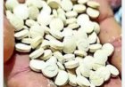 सिरमौर पुलिस व स्पेशल टास्क फोर्स ने 4.41 करोड़ रुपये संपत्ति जब्त की ड्रग सिंडिकेट पर कसा शिकंजा